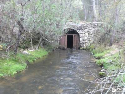 Bosque Plateado de La Jarosa; sierradegredos ruta por cuenca integral de la pedriza tienda montana m